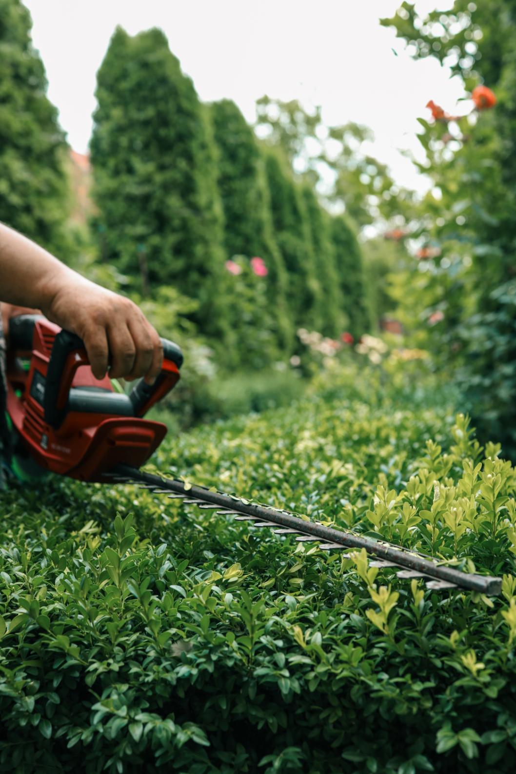 Travaux d’entretien paysager et rénovation de gazon